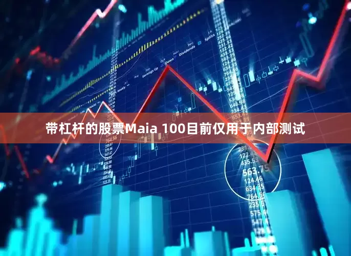 带杠杆的股票Maia 100目前仅用于内部测试