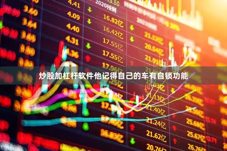 炒股加杠杆软件他记得自己的车有自锁功能
